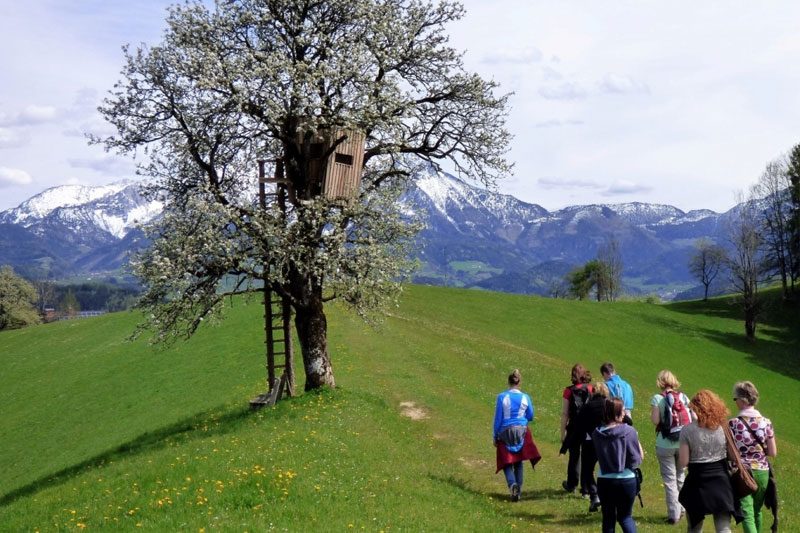 SchlossKlaus_Frauenfreizeit